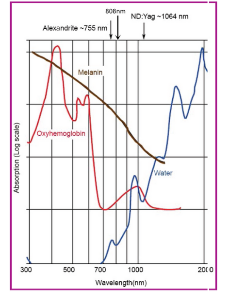 未命名的设计 (28).png
